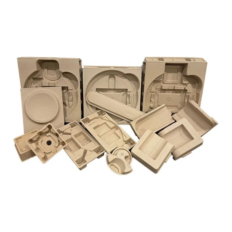 DTS Films moulded pulp trays sustainable packaging Singapore